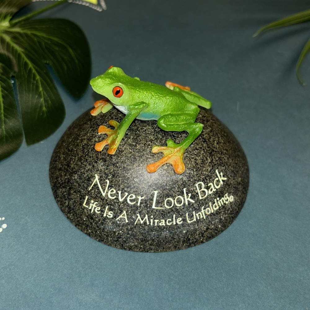 Frog Decor - Picture 3 of 6